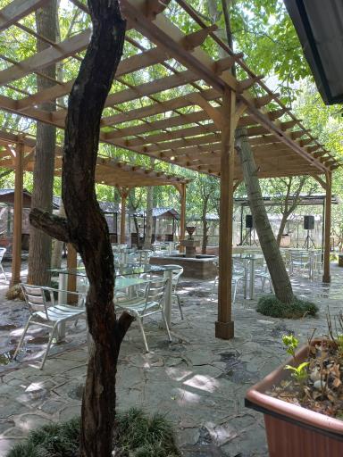 عکس رستوران لیدی برد