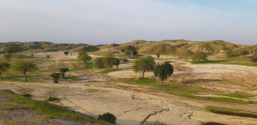 عکس مجموعه گلف شرکت نفت