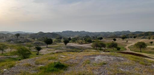 عکس مجموعه گلف شرکت نفت