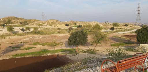 عکس مجموعه گلف شرکت نفت