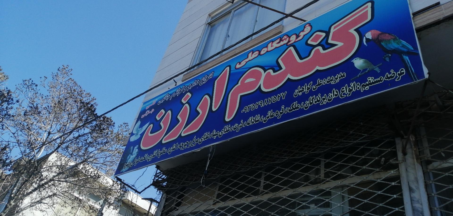 عکس فروشگاه علی