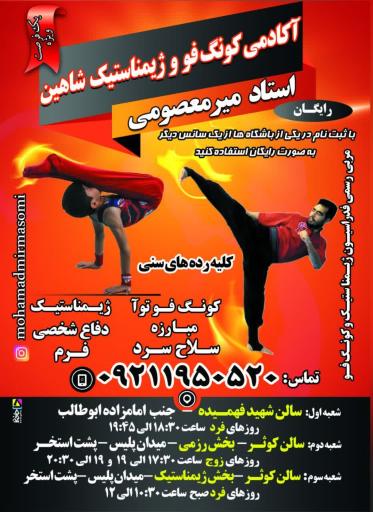 عکس آکادمی کونگ فو شاهین