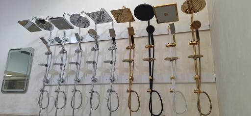 عکس شیرآلات پروینی 