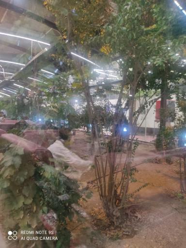 عکس رستوران شب نشین