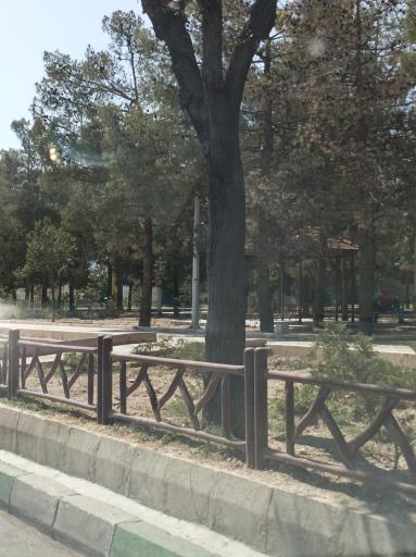 عکس پارک زینبیه