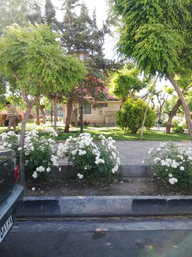 سرویس بهداشتی