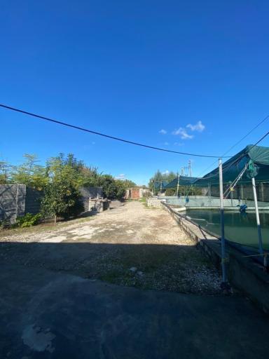 عکس پرورش ماهی نوروزیان