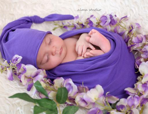 عکس آتلیه آلما