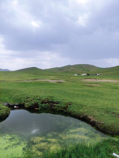 عکس تخت سرتشتک