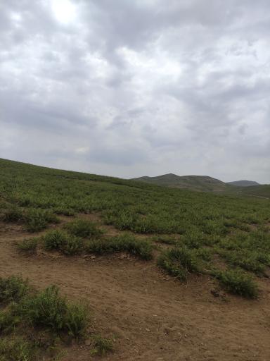 عکس تخت سرتشتک