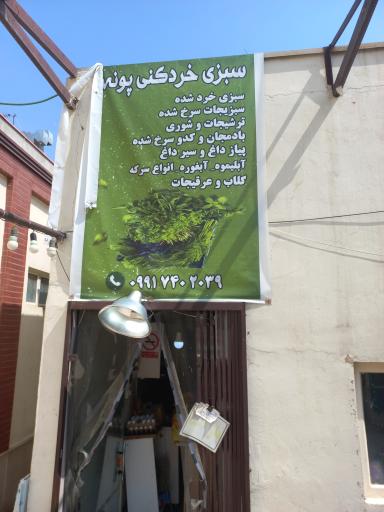 عکس سبزی خوردکنی پونه