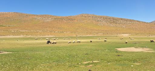 عکس تخت سرتشتک