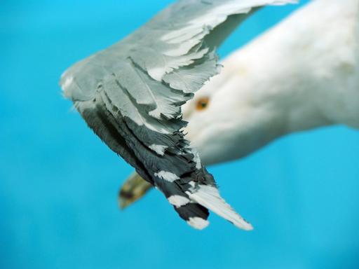 عکس موزه تاریخ طبیعی قم