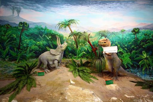 عکس موزه تاریخ طبیعی قم