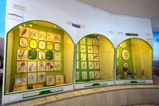 عکس موزه تاریخ طبیعی قم