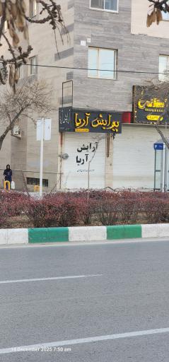 عکس پیرایش آریا 