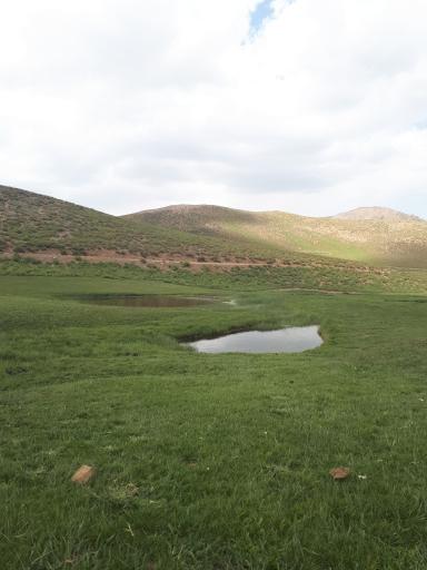 عکس تخت سرتشتک