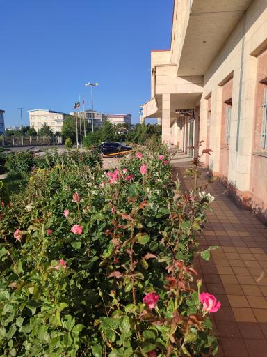 عکس بیمارستان امام رضا (ع)