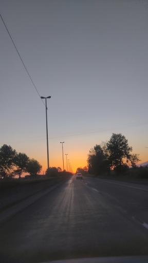 عکس گرگان