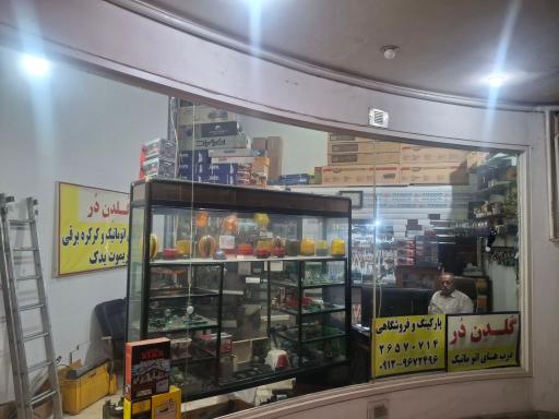 عکس گلدن دُر