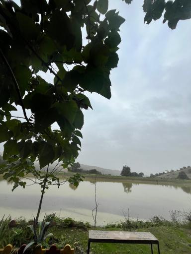 عکس گرگان