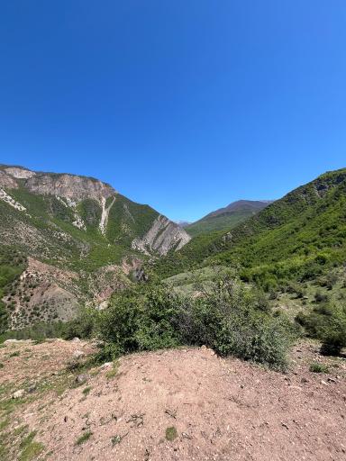 عکس گرگان