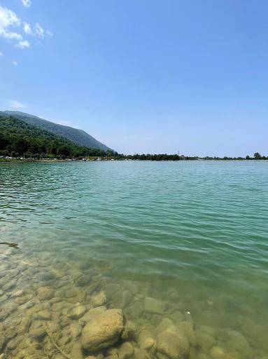 عکس گرگان