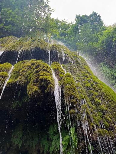 عکس گرگان