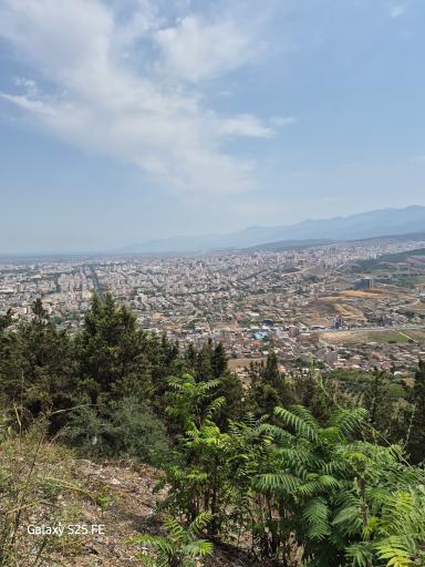 عکس گرگان