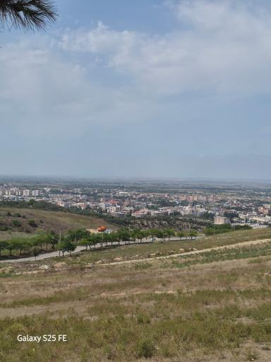 عکس گرگان