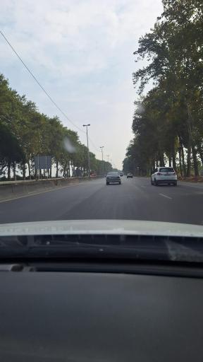 عکس گرگان