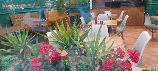 عکس پیتزار پورتو