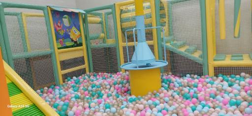 عکس خانه بازی دلفینو