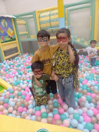 عکس خانه بازی دلفینو