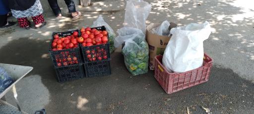 عکس سبزی فروشی افغان