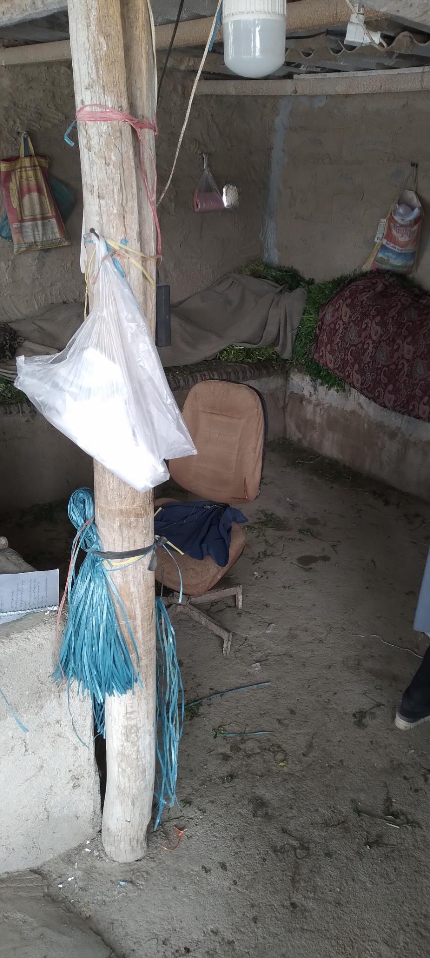 عکس سبزی فروشی افغان