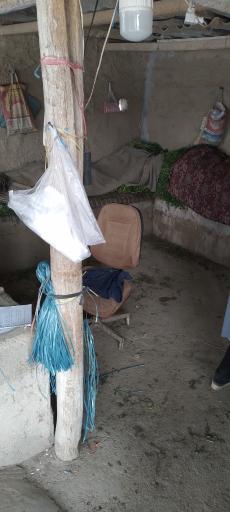 عکس سبزی فروشی افغان