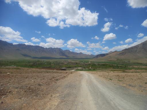 عکس گاوگدار