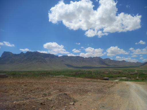 عکس گاوگدار