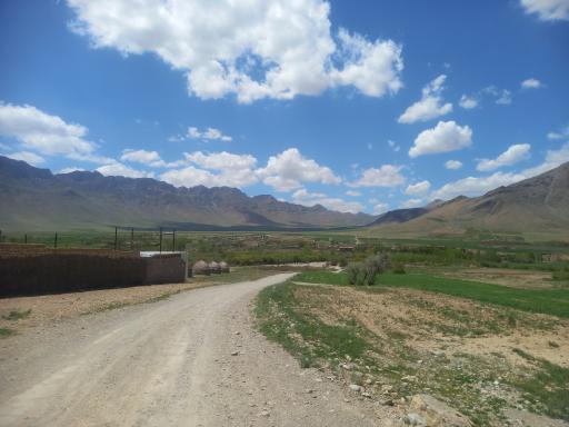 عکس گاوگدار
