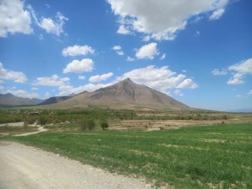 عکس گاوگدار