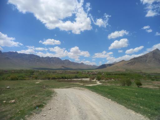 عکس گاوگدار