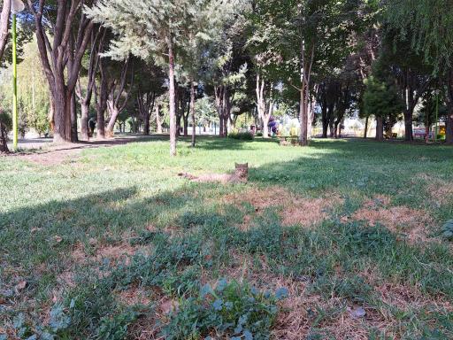 عکس پارک ساحلی زرین شهر