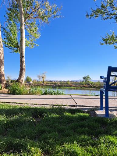 عکس پارک ساحلی زرین شهر