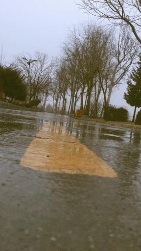 عکس پارک ساحلی زرین شهر