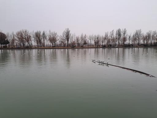 عکس پارک ساحلی زرین شهر