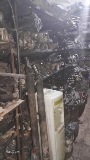 عکس استوک یدک محمدی