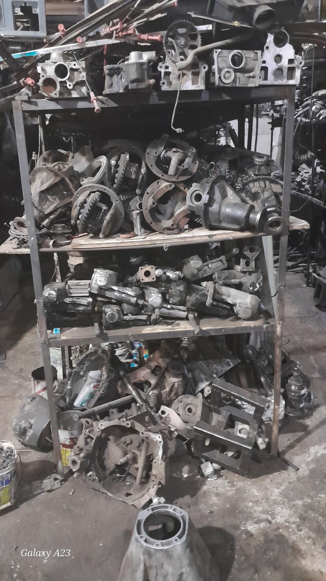 عکس استوک یدک محمدی