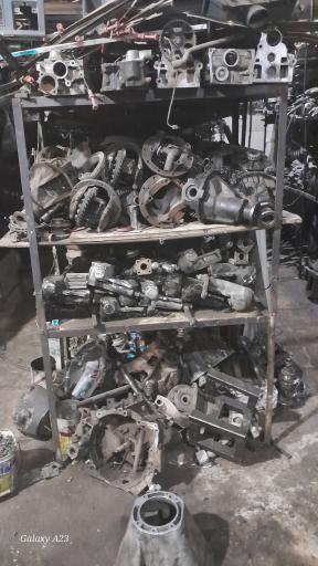 عکس استوک یدک محمدی