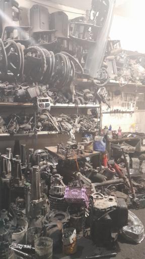 عکس استوک یدک محمدی